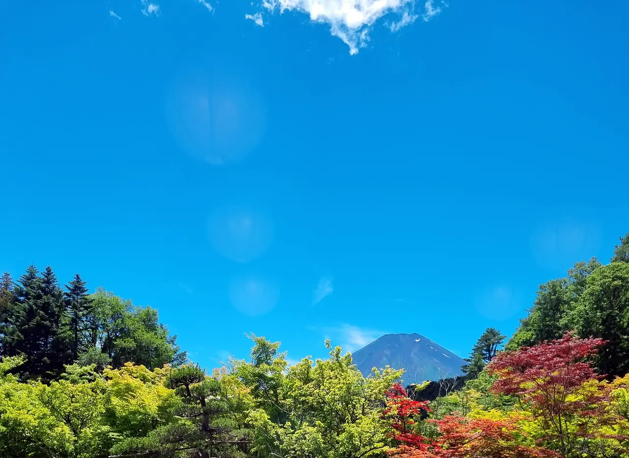 Un grand ciel bleu au-dessus d’arbres verts et d’érables rouges, un sommet volcanique au loin, photographié par Christel Louvet